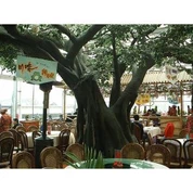 ต้นไทรสรรงประดิษฐ์โบราณสำหรับตกแต่งร้านอาหาร