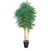 เทียมบันยันทรี