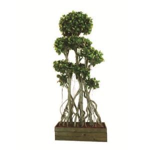 ประดิษฐ์จีน Banyan Tree